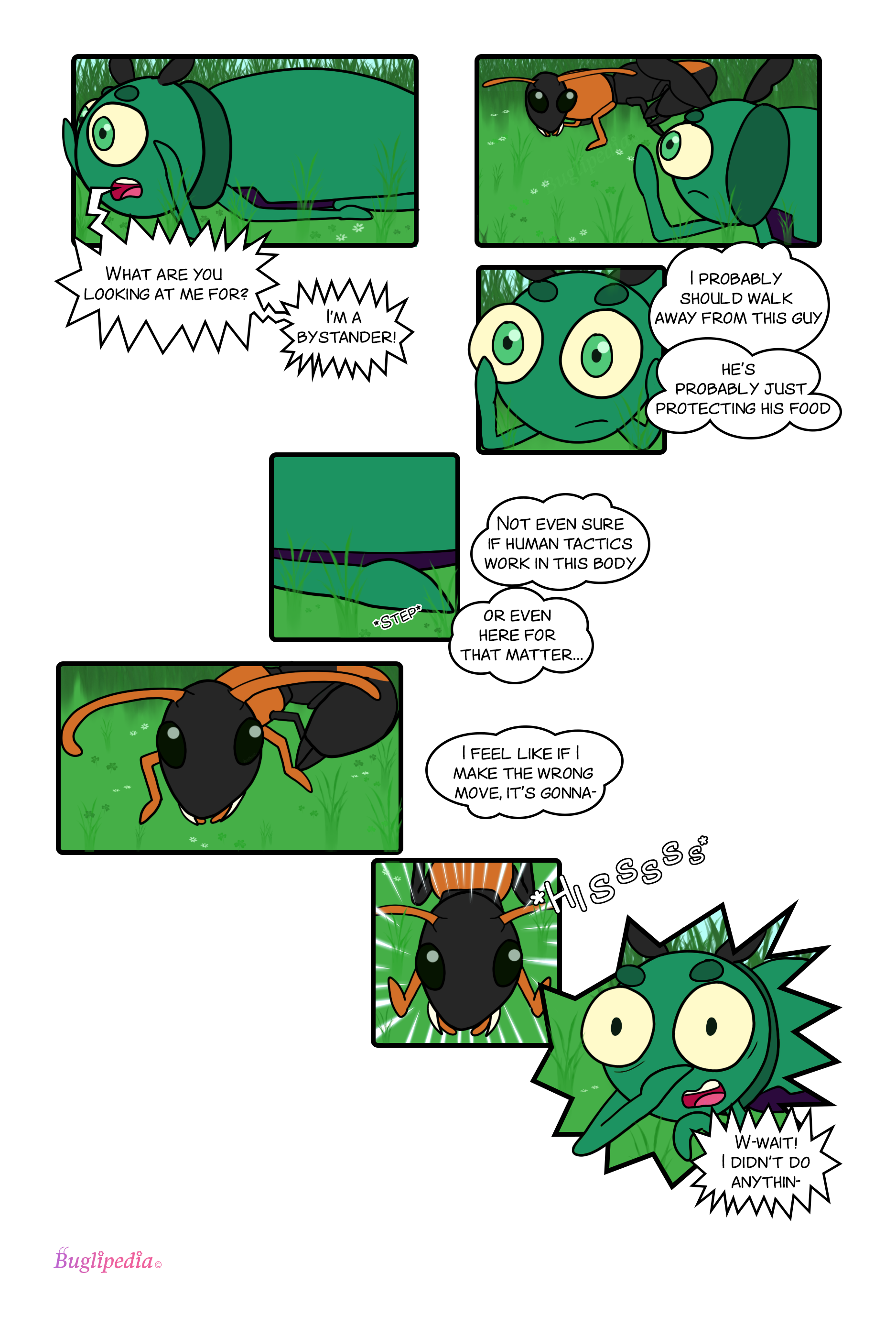 Chapter 3 page 1 beetle attacks Beetle.